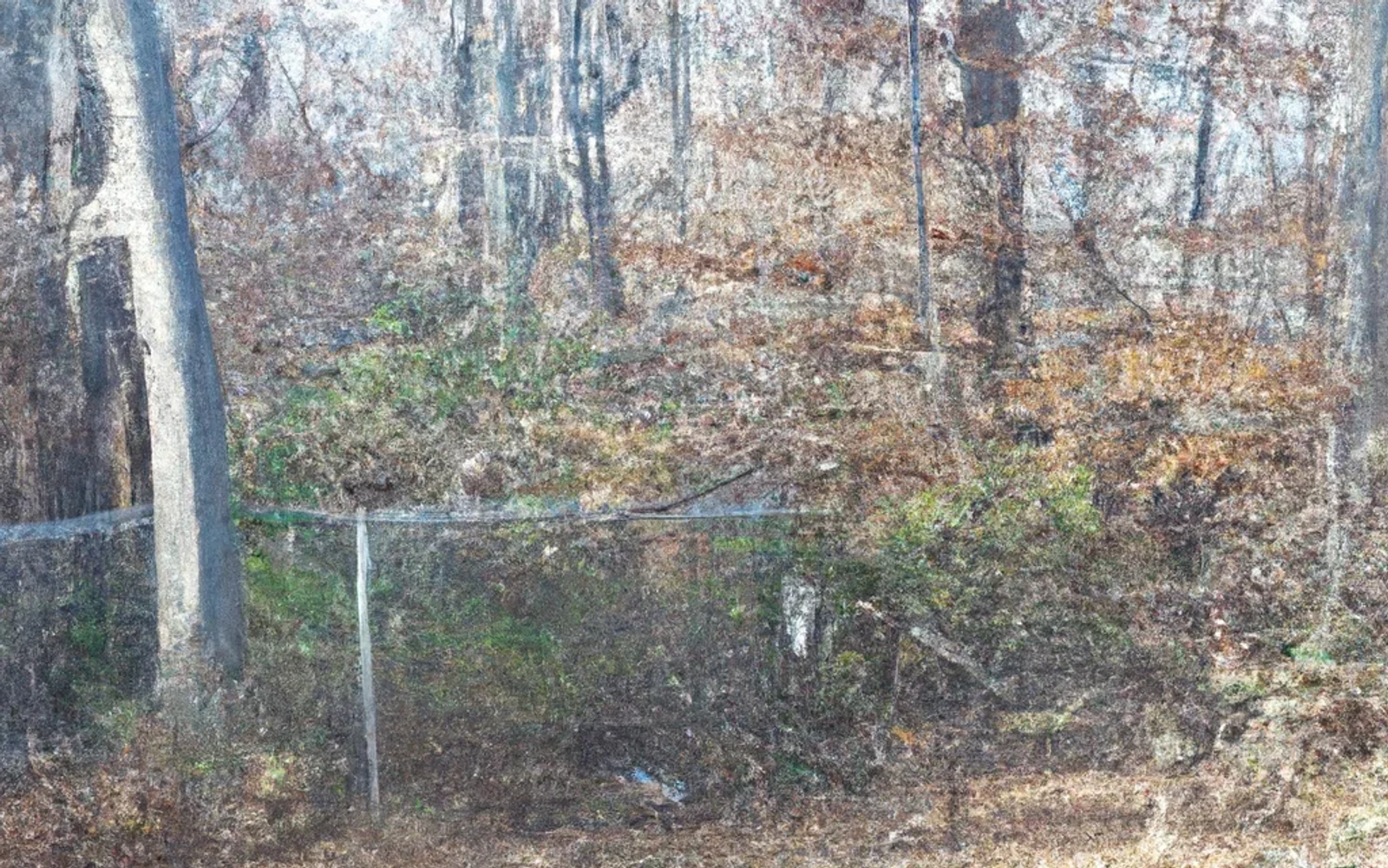 Wooded land in Hastings