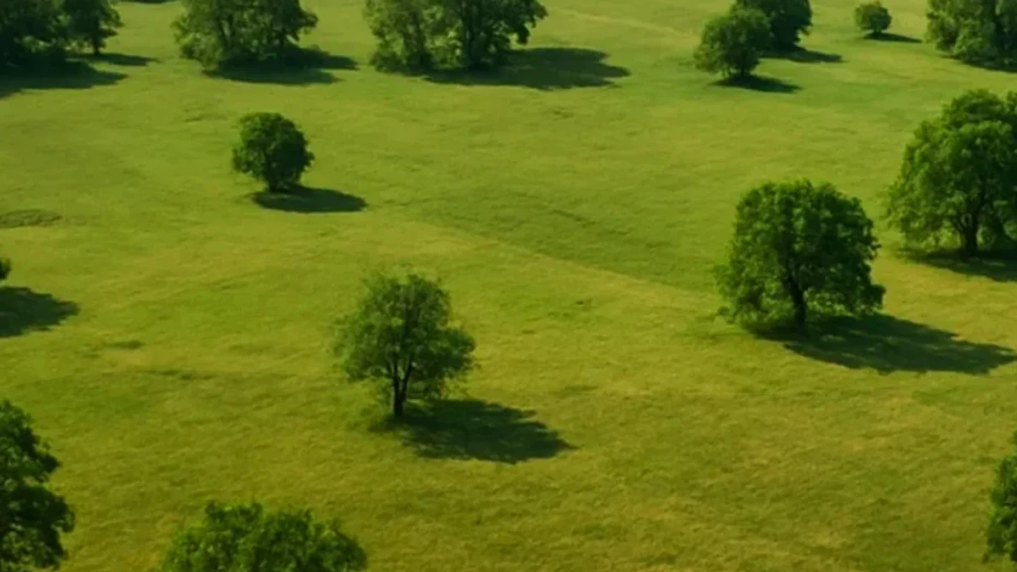 Buffalo County vacant land, wooded acreage, and rural parcels in Nebraska