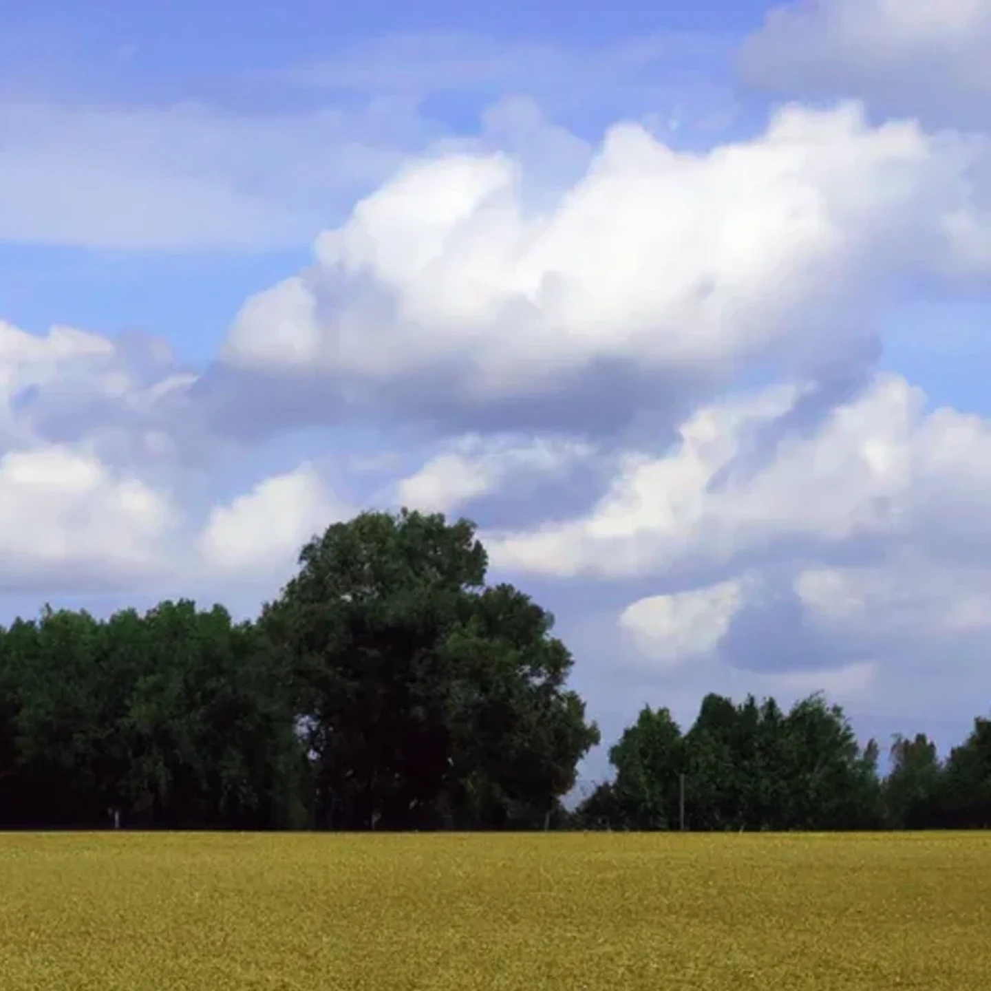 Columbus vacant land, wooded acreage, and rural parcels in Nebraska