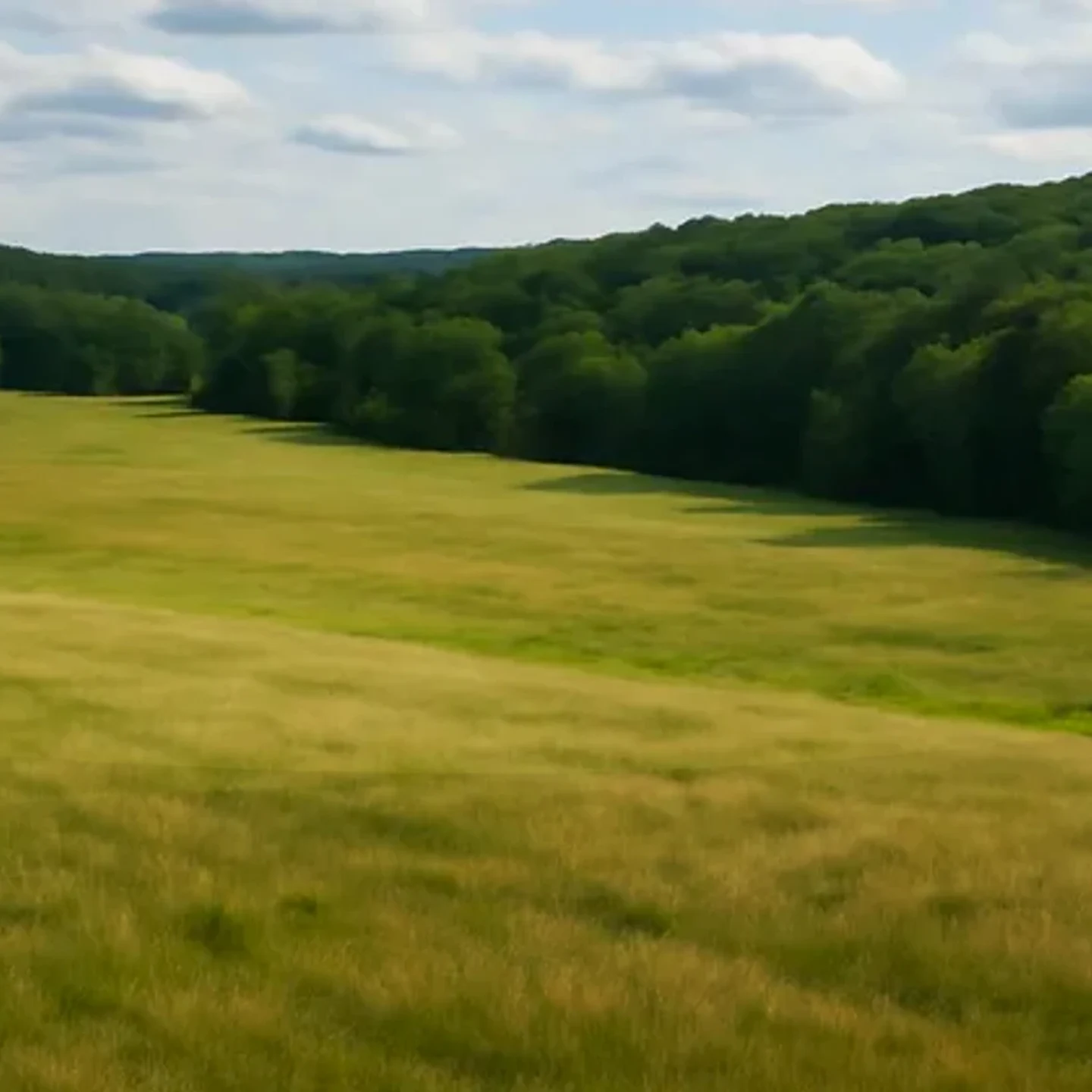 Fremont vacant land, wooded acreage, and rural parcels in Nebraska