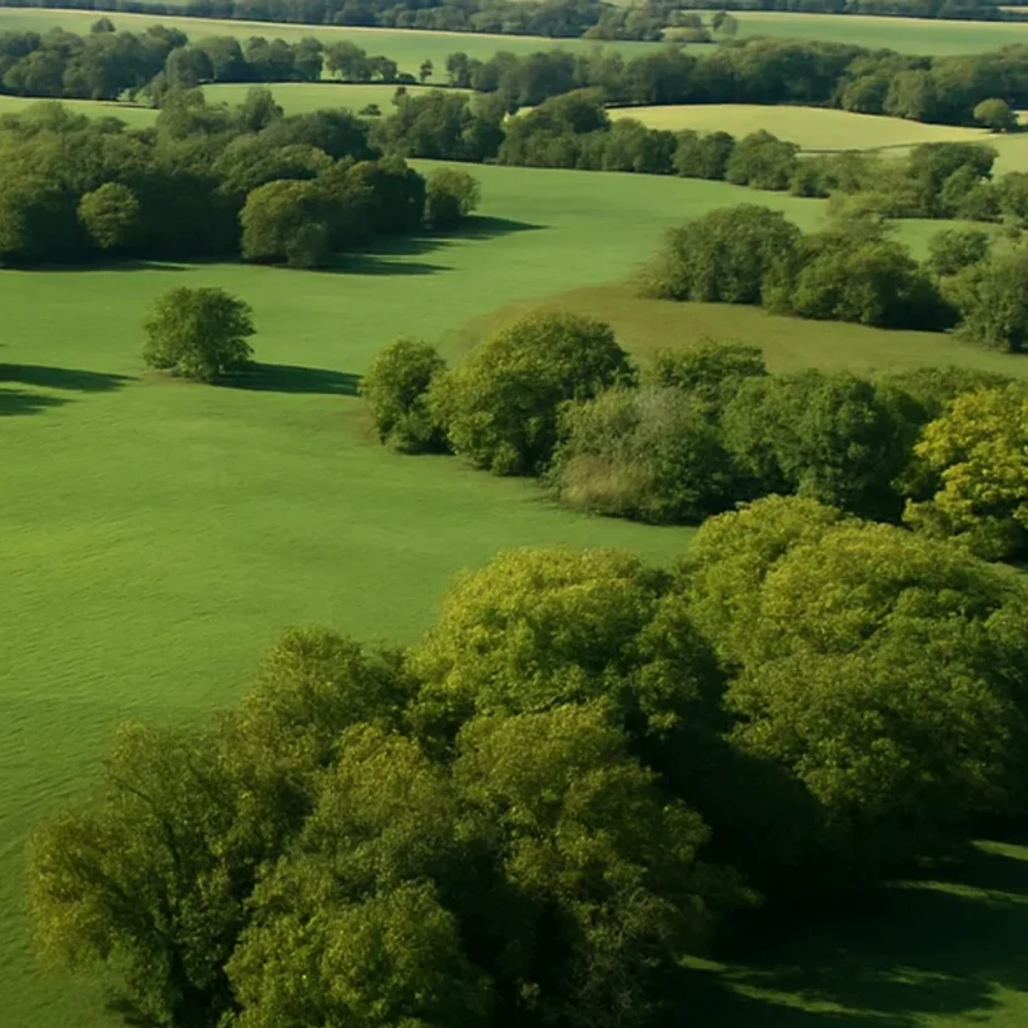 Kearney vacant land, wooded acreage, and rural parcels in Nebraska