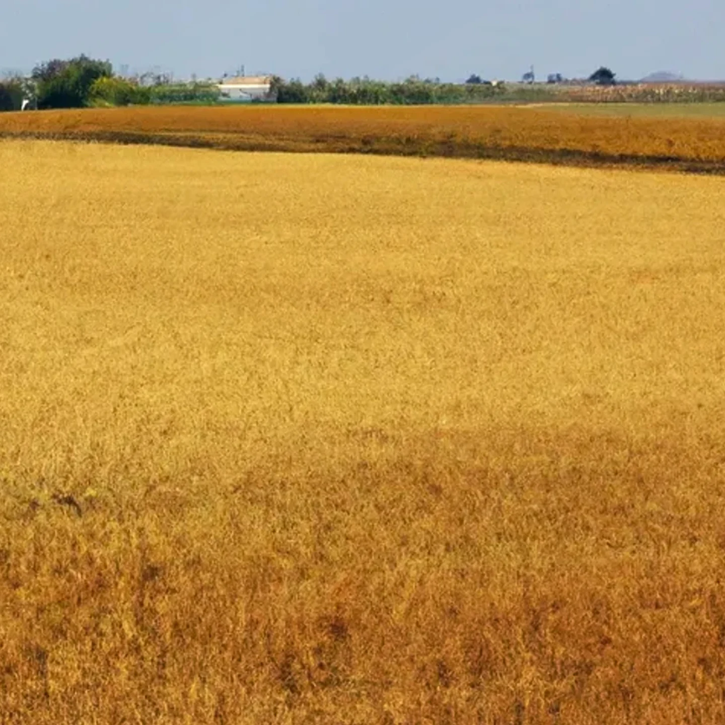 Norfolk vacant land, wooded acreage, and rural parcels in Nebraska