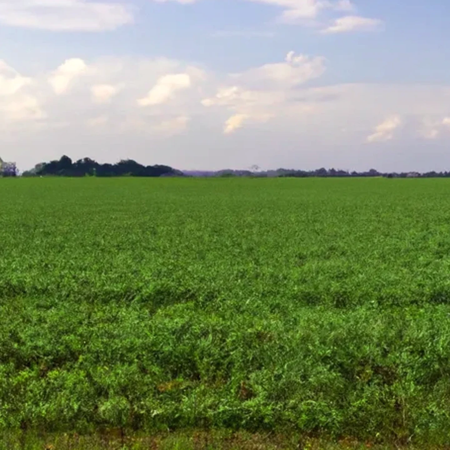 North Platte vacant land, wooded acreage, and rural parcels in Nebraska
