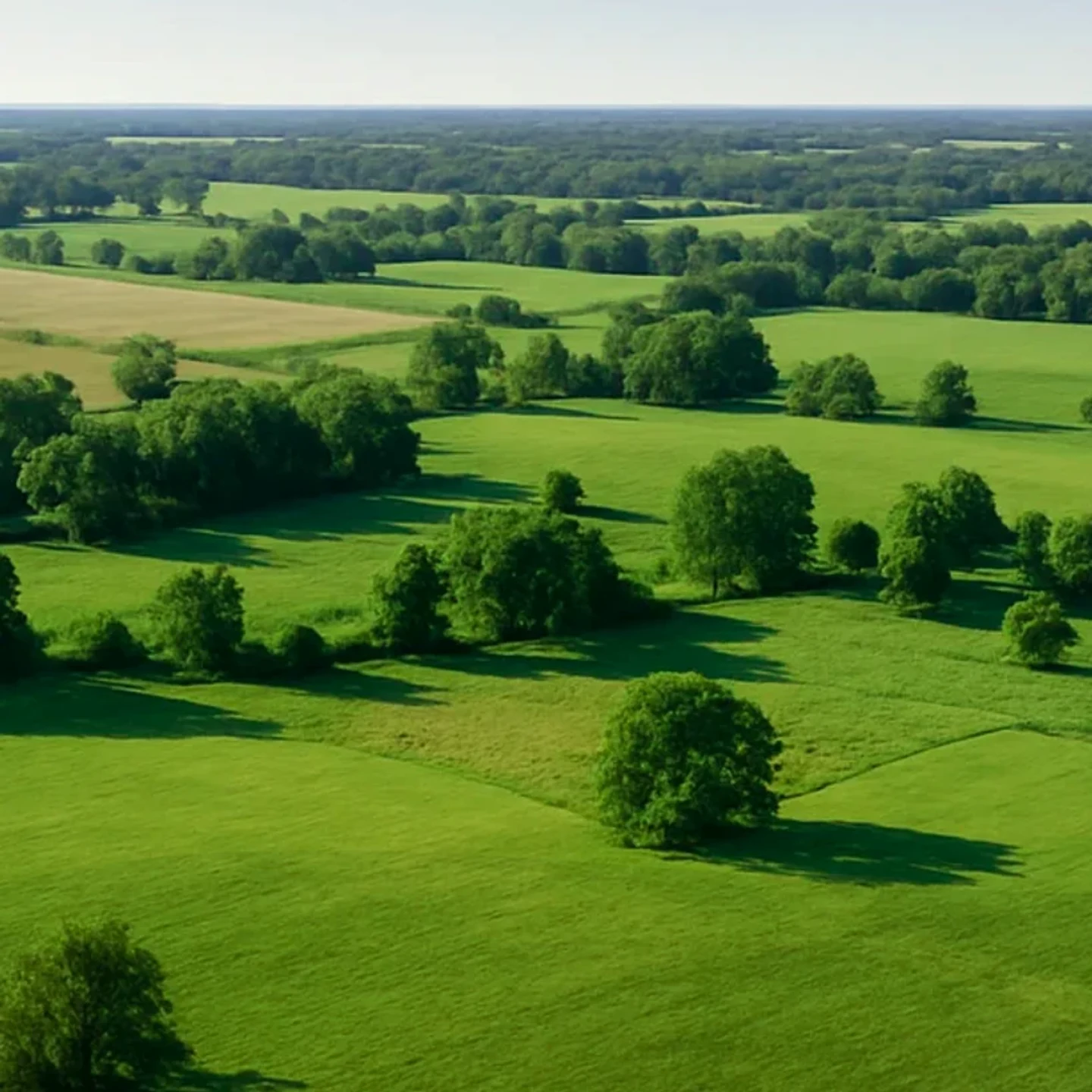 Omaha vacant land, wooded acreage, and rural parcels in Nebraska