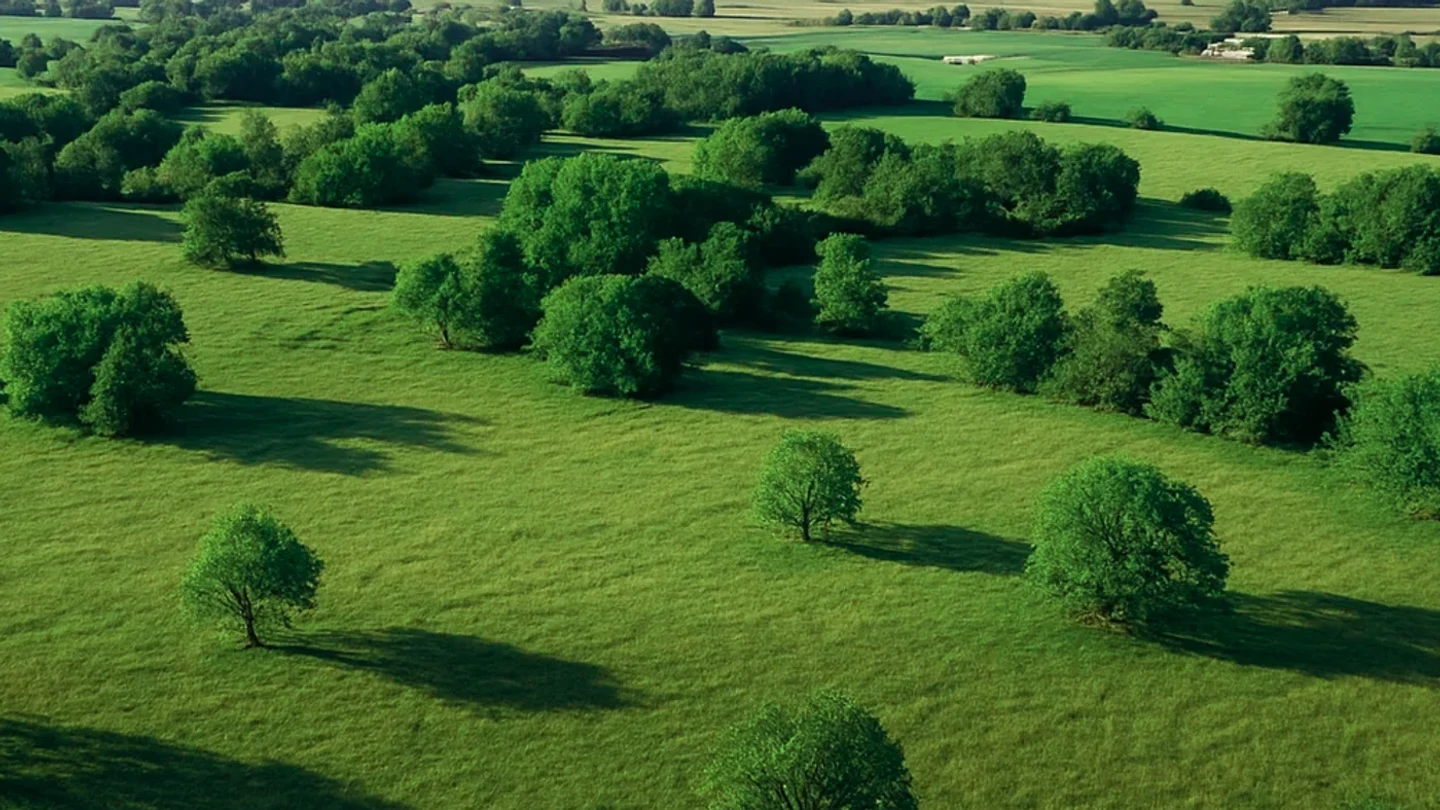 Platte County vacant land, wooded acreage, and rural parcels in Nebraska