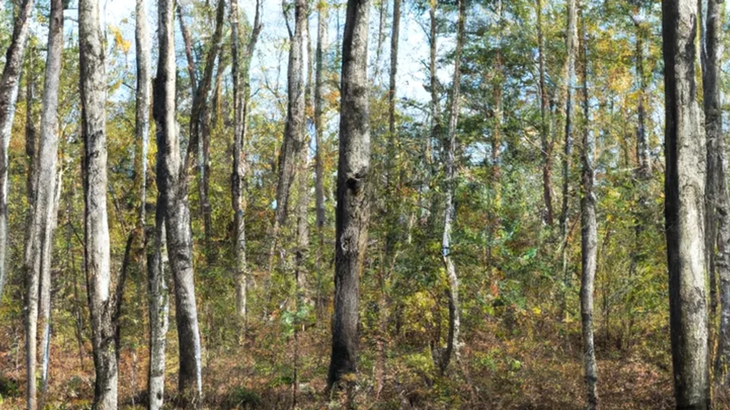 Scotts Bluff County vacant land, wooded acreage, and rural parcels in Nebraska